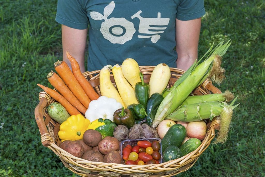 Enjoy seasonal, local produce delivered to your home